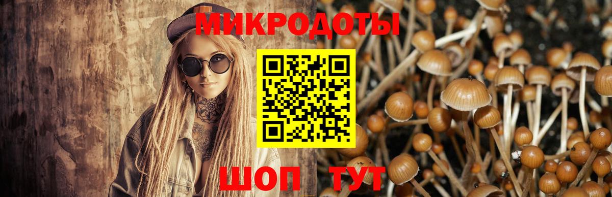 где продают   Псилоцибиновые грибы GOLDEN TEACHER  Вход с VPN  Протвино 