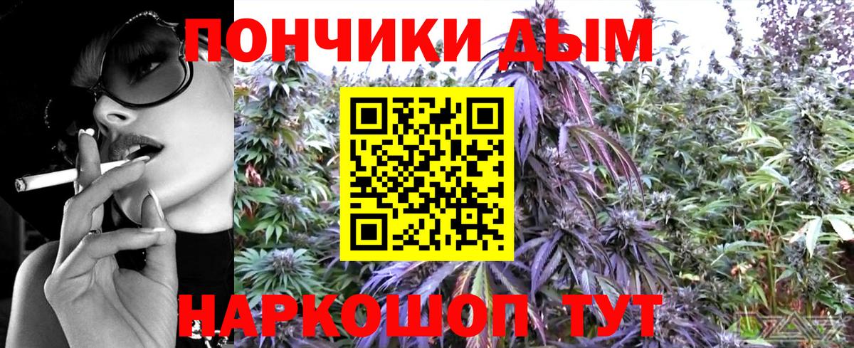 Каннабис планчик Протвино